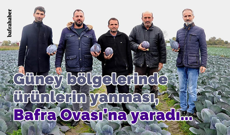 Güney bölgelerinde ürünlerinyanması, Bafra Ovası'na yaradı