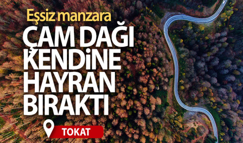 Çam Dağı kendine hayran bıraktı - Sakarya'nın Kocaali ile Hendek ilçeleri arasında yer alan ve 4 mevsim farklı güzelliklere sahip 900 rakımlı Çam Dağı sonbaharda yeşil, sarı ve kahverenginin farklı tonlarıyla hayran bıraktı. Sezgin Genç SAKARYA (İHA)