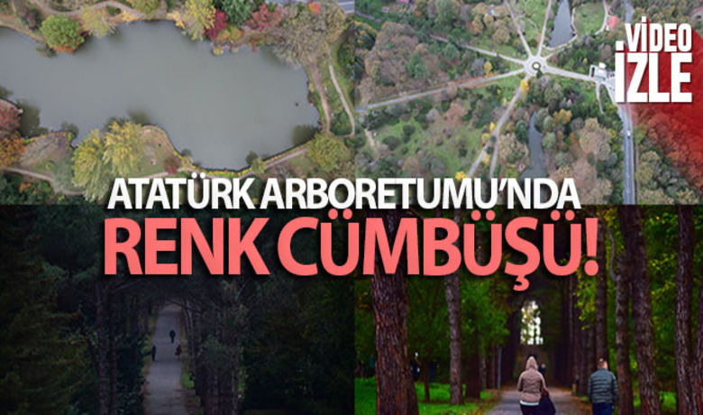 Atatürk Arboretumu'nda renk cümbüşü - Sonbaharın son günlerinde Atatürk Arboretumu`nda adeta renk cümbüşü oluştu. Sarı, kızıl ve yeşilin tonlarıyla ziyaretçilerini ağırlayan alan havadan görüntüleriyle de hayran bıraktı.	HABERİN VİDEOSU İÇİN TIKLAYINIZ Hasibe Karadağ - Emre Baba - İsmail Coşkun-İHA