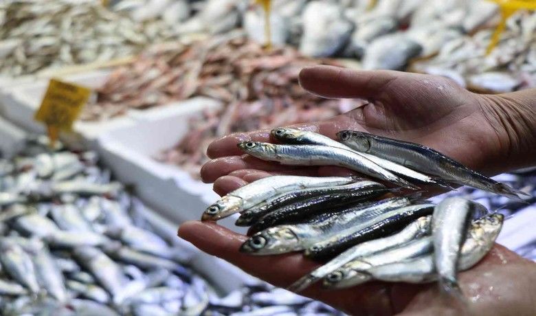 Balıkçılar şaşkın: Ucuz balığa ilgi yok
 - Samsunlu balık satıcıları, kırmızı et ve tavuğa oranla fiyatı oldukça uygun olan balığa vatandaşların yeterince ilgi göstermemesinin şaşkınlığını yaşıyor.