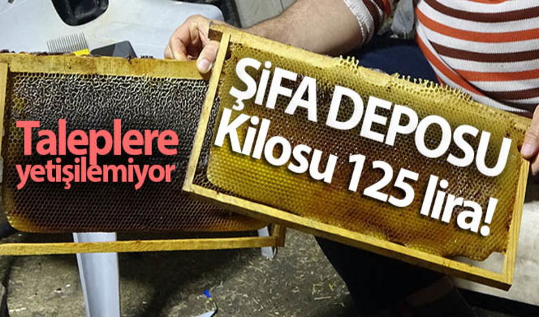 Şifa deposu püren balınınkilosu 125 lira! Taleplere yetişilemiyor - Hatay`ın Samandağ ilçesinde üretilen püren balı yıllardır lezzeti ve şifa kaynağı olması nedeniyle tercih ediliyor.