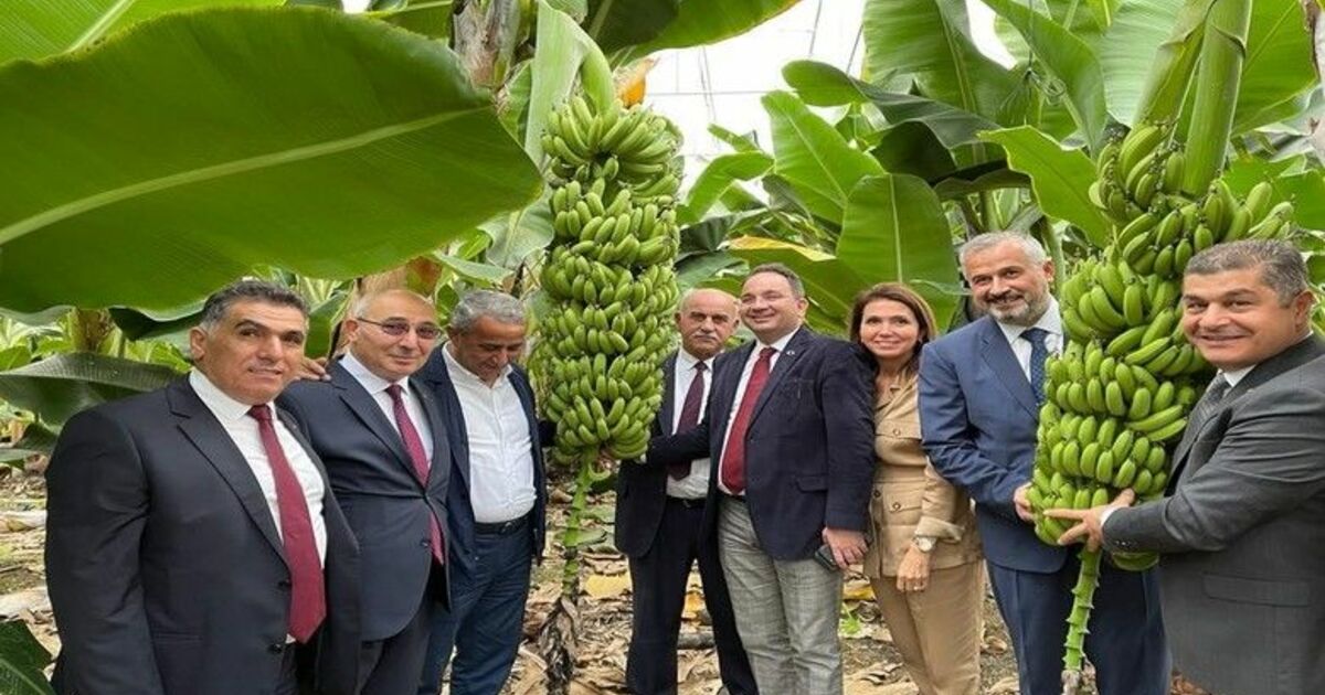 Bafra Sera OSB Antalya’da tanıtıldı