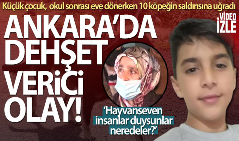 Ankara'da okuldan eve dönerkenköpeklerin saldırdığı çocuk ağır yaralandı - Ankara’nın Pursaklar ilçesinde okul sonrası eve dönen küçük çocuk, 10 köpeğin saldırısına uğradı. Ağır yaralanan çocuk hastanede tedavi altına alındı.