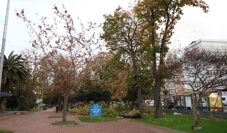 Samsun’da şiddetli fırtına:Çatılar uçtu, ağaçlar devrildi