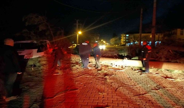Şiddetli fırtına çam ağacını devirdi
 - Samsun’un Çarşamba ilçesinde etkili olan fırtına sonucu çam ağacı, kamyonetin üzerine devrildi.
