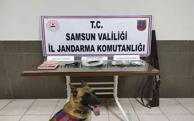 Jandarmadan uyuşturucu operasyonu: 1 gözaltı
