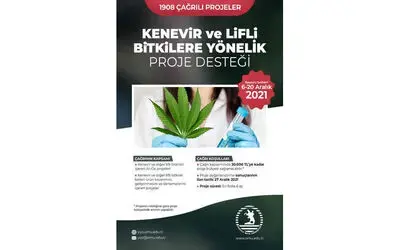 Kenevir için proje çağrısı

