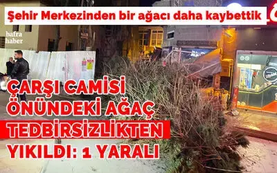 Çarşı Camisi önündeki ağaç yola devrildi: 1 yaralı