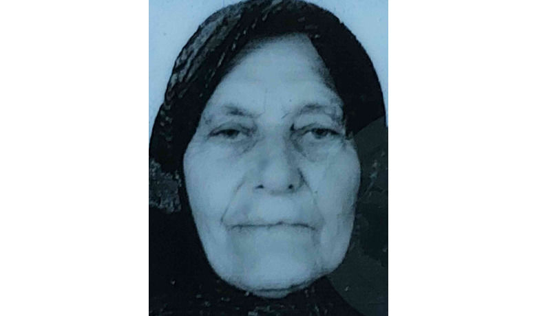 Ekmek aracının çarptığıyaşlı kadın hayatını kaybetti - Samsun’da geri geri gelen ekmek aracının altında kalan yaşlı kadın hayatını kaybetti.
