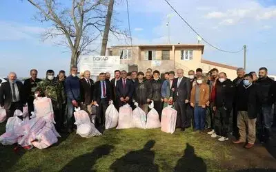 Samsun’da İsrail sazanı ile mücadele başladı
