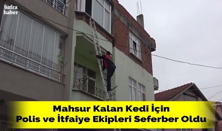 Mahsur kalan kedi için polisve itfaiye ekipleri seferber oldu