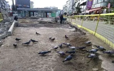 Subaşı’nın güvercinleri Hamidiye Çeşmesi’ni güzelleştirecek
