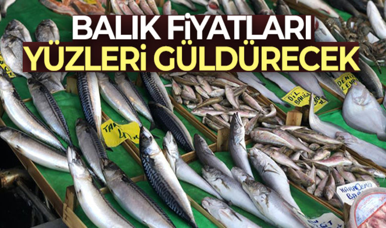 Kar yağdı, balık fiyatlarının düşmesi bekleniyor - Yurdu etkisi altına alan kar yağışı yaşamı olumsuz etkilese de balıkçıların yüzünü güldürüyor. Kar yağışının, balık tezgahlarına olumlu yansımasının bir hafta içerisinde olacağını belirten balıkçılar, fiyatların ise 10 ile 30 TL arasında düşeceğini söylüyor.