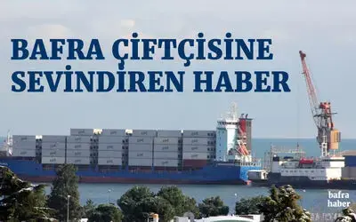 Bafra çiftçisine sevindiren haber