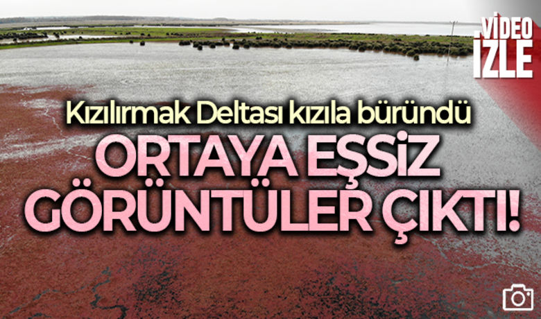 Eğrelti otuyla kızıla bürünenKızılırmak Deltası'ndan eşsiz görüntüler - Bir tür su eğrelti otu olan azolla filiculoides ile kaplanan UNESCO Geçici Miras Listesi`ndeki Kızılırmak Deltası Kuş Cenneti kızıla büründü. Su yüzeyini tamamen kaplayan eğrelti otu, eşsiz görüntüler oluşturdu.	Furkan Abrek Ünal-Ahmet Şükrü Uluçay	 