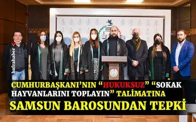 Cumhurbaşkanı’nın Sokak Hayvanları Açıklamasına Samsun Barosundan Tepki