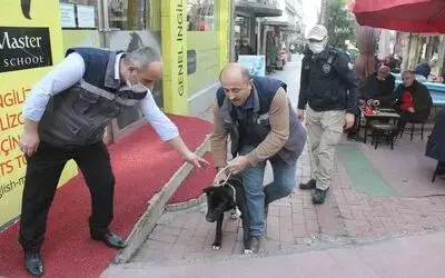 Samsun’da polisten yasaklı ırk köpek denetimi
