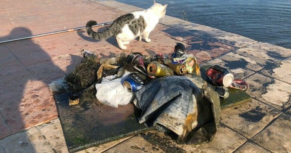 Denizden çıkanlar şaşırttı
