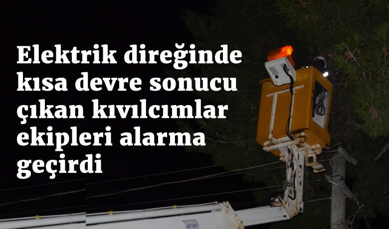 Elektrik direğinde kısa devre sonucuçıkan kıvılcımlar ekipleri alarma geçirdi