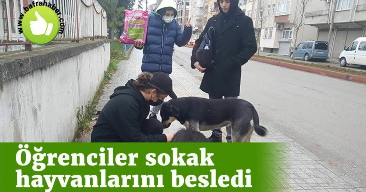 Bafra'da öğrenciler sokak hayvanlarını besledi