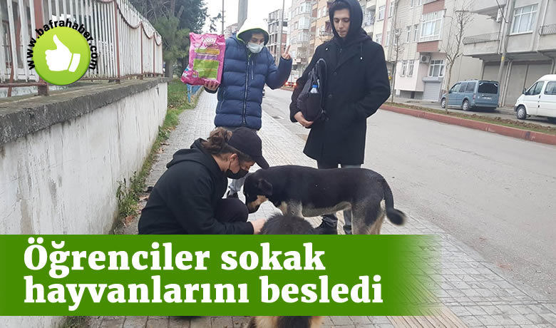 Bafra'da öğrenciler sokak hayvanlarını besledi - Samsun’un Bafra ilçesinde bir grup öğrenci, sokak hayvanlarına sahip çıkarak onları elleriyle besledi.