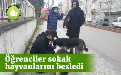 Bafra'da öğrenciler sokak hayvanlarını besledi