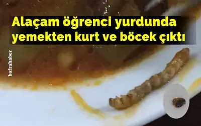 Alaçam Öğrenci Yurdunda Yemekten Kurt Ve Böcek Çıktı