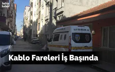 Kablo Fareleri İş Başında