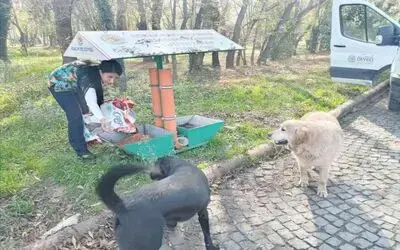 Atakum Belediyesi’nden sokak hayvanlarına 9 ton mama desteği
