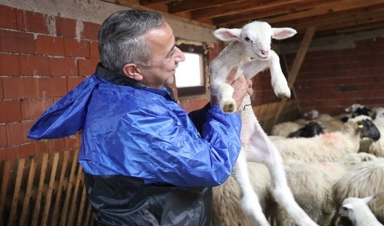 Samsun’da yerel ırkkoyun keçi yetiştiricisine destek - Samsun İl Tarım ve Orman Müdürü İbrahim Sağlam, “Köyümde Yaşamak İçin Bir Sürü Nedenim Var Projesi" kapsamında 99 üreticiye kredi desteği imkanı sağladıklarını açıkladı.