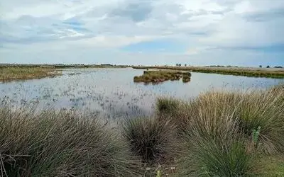 Tabiat parkları ve sulak olanlara olan ilgi arttı

