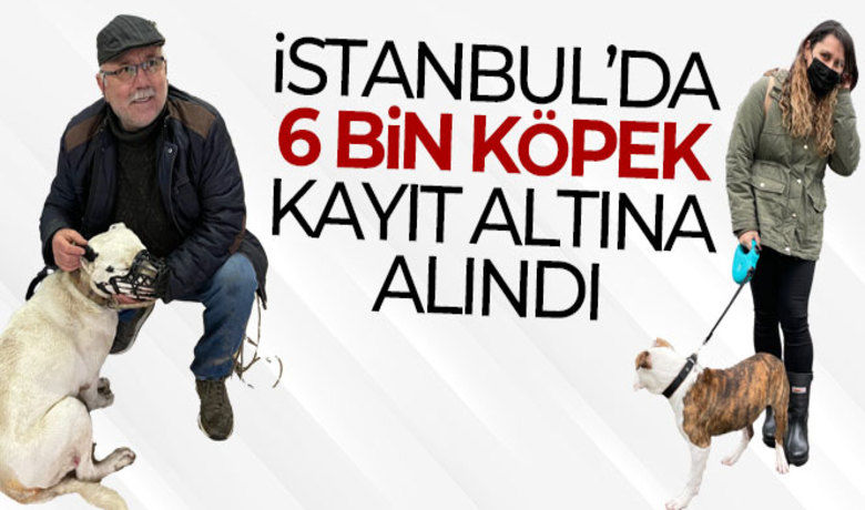 İstanbul'da 6 bin köpek kayıt altına alındı - İstanbul İl Tarım ve Orman Müdürü Ahmet Yavuz Karaca, yasaklı köpek ırklarının kayıt edilmesine yönelik son tarihin 14 Ocak olduğunu hatırlatarak, “Şu ana kadar ilimizde yaklaşık 6 bin adet köpek, 2 bin civarında da kediyi çipleyerek kayıt altına aldık” dedi.