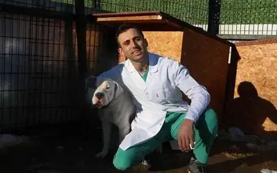 Barınaklar yasaklı ırklar ile doldu
