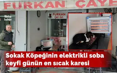 Sokak Köpeğinin Soba Keyfi