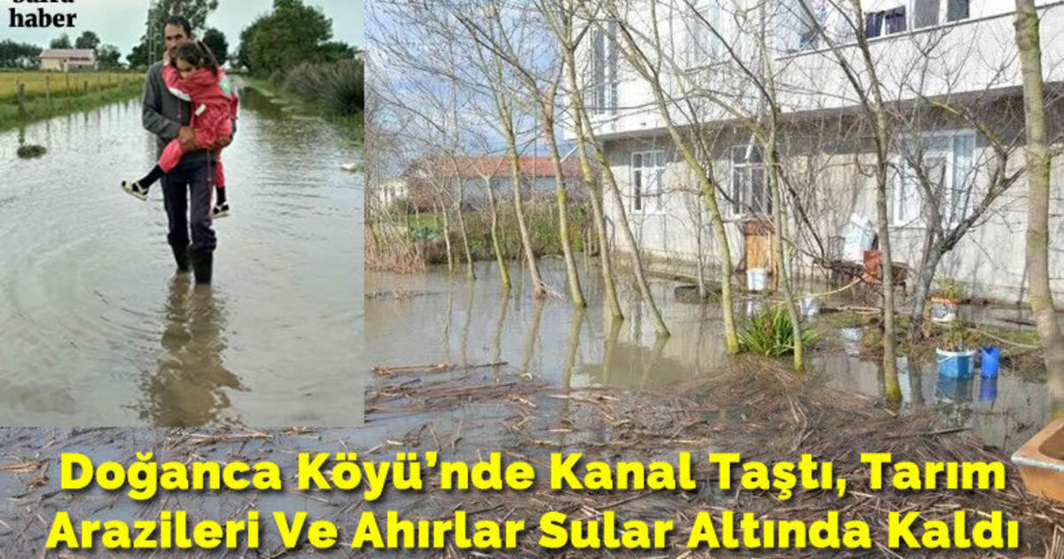 Doğanca Köyü’nde Kanal Taştı, Tarım Arazileri Ve Ahırlar Sular Altında Kaldı