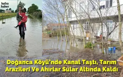 Doğanca Köyü’nde Kanal Taştı, Tarım Arazileri Ve Ahırlar Sular Altında Kaldı