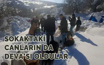 Sokaktaki Canların Da Deva’sı Oldular