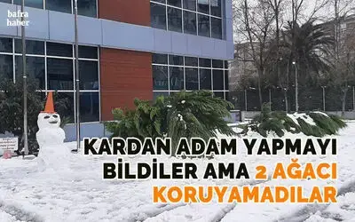 Bafra Gençlik Merkezi Önündeki 2 Ağaç Kardan Yıkıldı