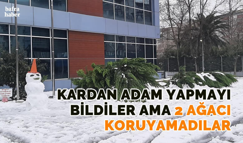 Bafra Gençlik Merkezi Önündeki 2 Ağaç Kardan Yıkıldı
