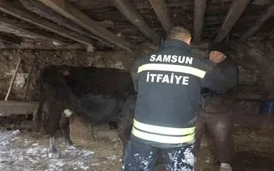 Çatısı çöken ahırda kalan hayvanları itfaiye kurtardı
