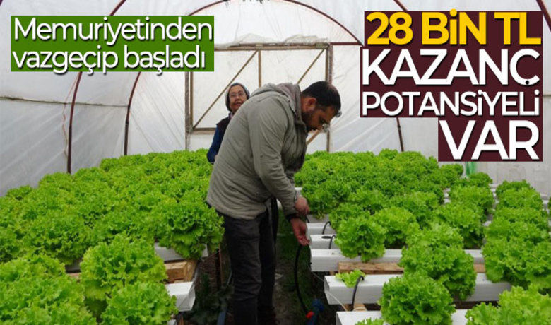 İstanbul'un kalabalığından kaçtımemleketinde topraksız tarıma başladı - 