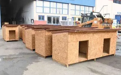 Atıklar ahşaplar sokak hayvanlarına yuva oldu
