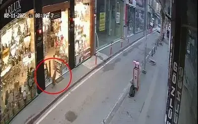 Samsun şehir merkezinde ’tilki’ paniği
