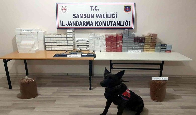 Samsun’da bin 187 paket sigara ve16 bin dal makaron ele geçirildi - Samsun’da jandarma ekipleri tarafından düzenlenen operasyonda kaçak bin 187 paket sigara ve 16 bin dal makaron ele geçirildi.