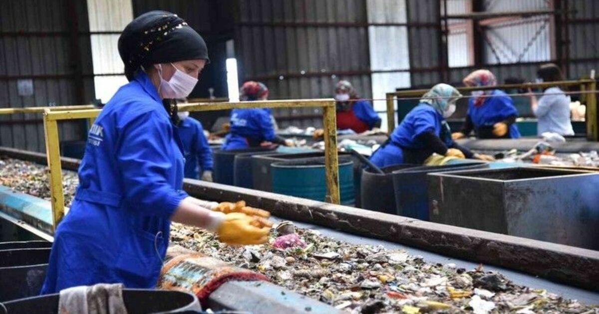 Atıklar sıfırlandı, 319 bin ağaç kesilmekten kurtuldu
