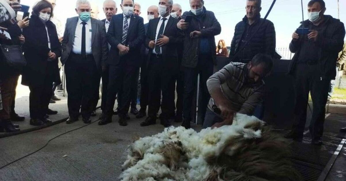 Küçükbaş hayvanlar için kırkım makinesi ve püskürtmeli banyoluk dağıtıldı
