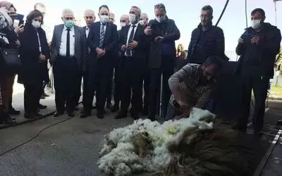 Küçükbaş hayvanlar için kırkım makinesi ve püskürtmeli banyoluk dağıtıldı
