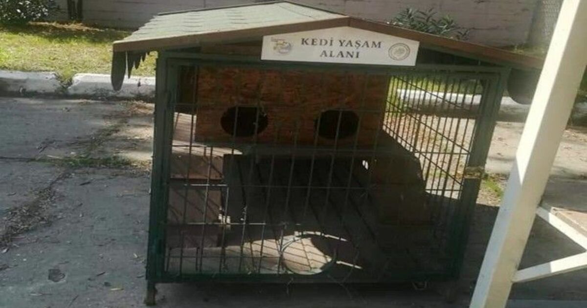 Hırsızlar bunu da yaptı

