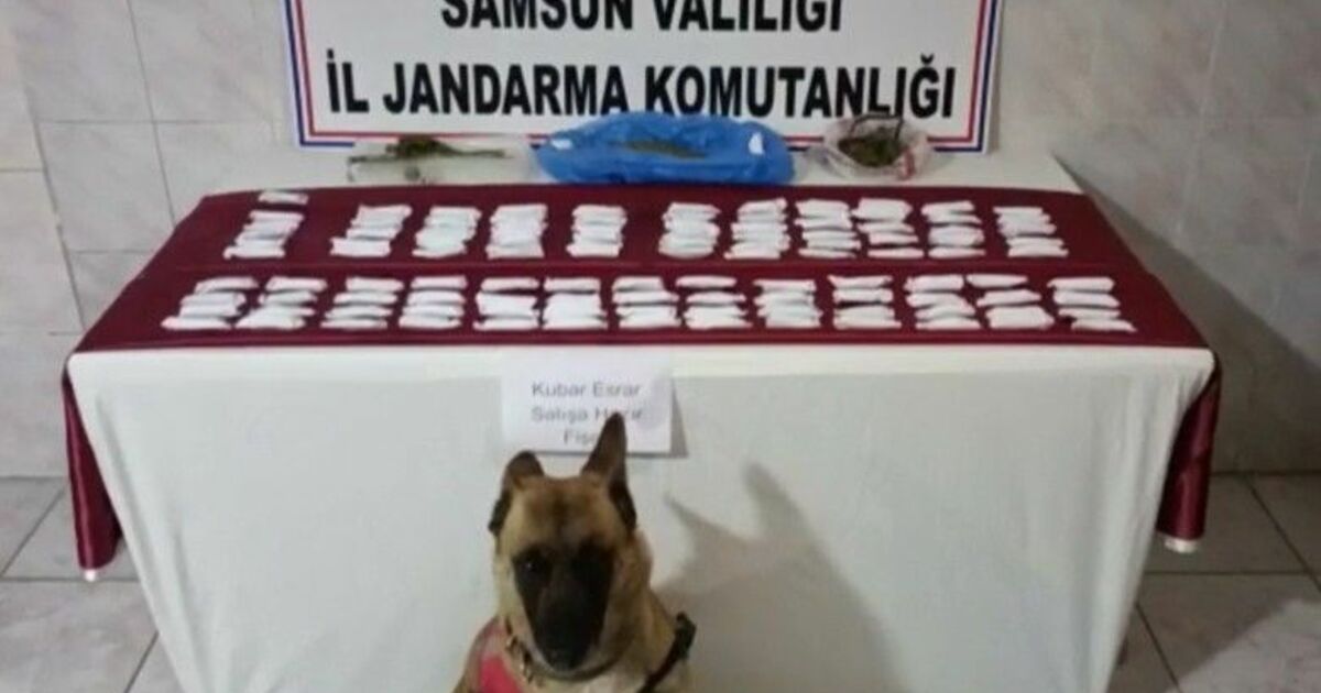 Bafra'da 120 paket satışa hazır uyuşturucu ele geçirildi
