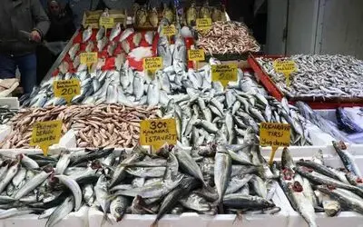 Samsun’da balık fiyatları arttı
